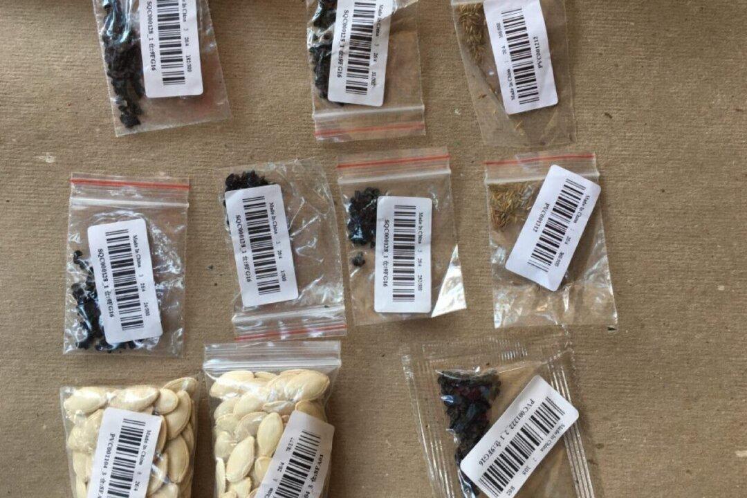 USDA Investigation Reveals 14 Varieties in Unsolicited Seeds Mailed From China