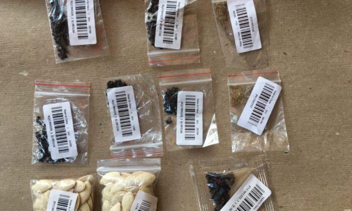 USDA Investigation Reveals 14 Varieties in Unsolicited Seeds Mailed From China