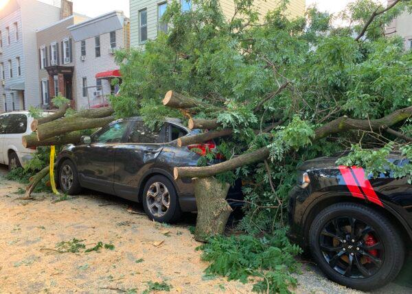 Cars are buried under the remains of a fallen tree in the Greenpoint area of Brooklyn, N.Y., on Aug. 4, 2020. (Diane Desobeau /AFP via Getty Images)