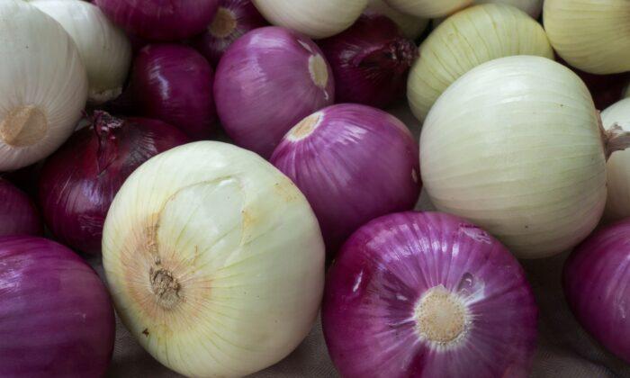 Salmonella Outbreak Linked to Onions Expands to Hundreds of People Sickened in 43 States