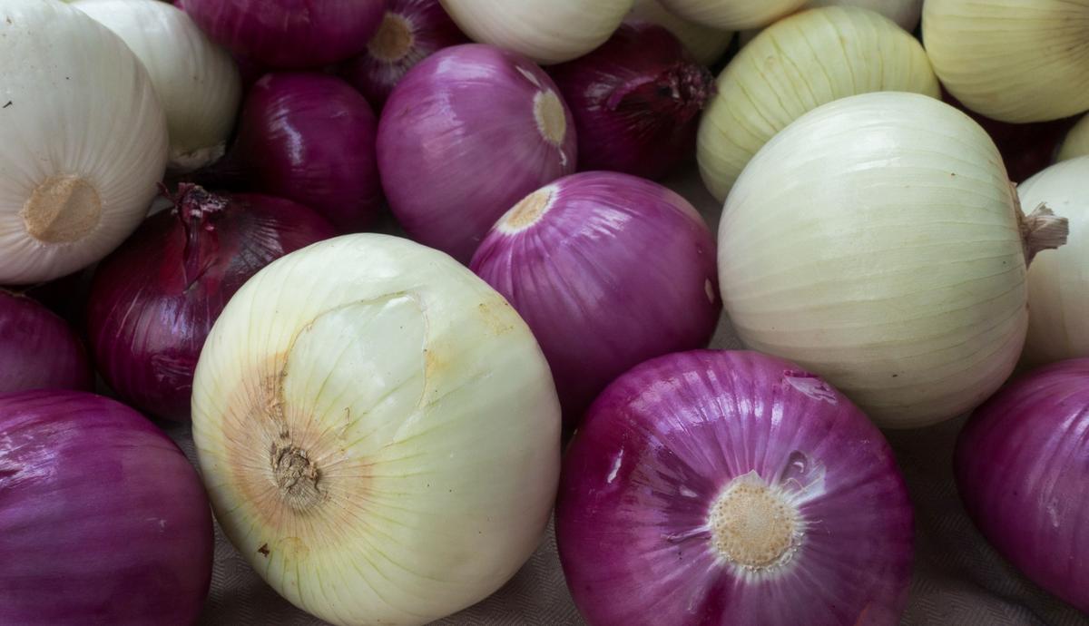 Multistate Salmonella Outbreak Prompts Recall of Bagged and Diced Onion Products