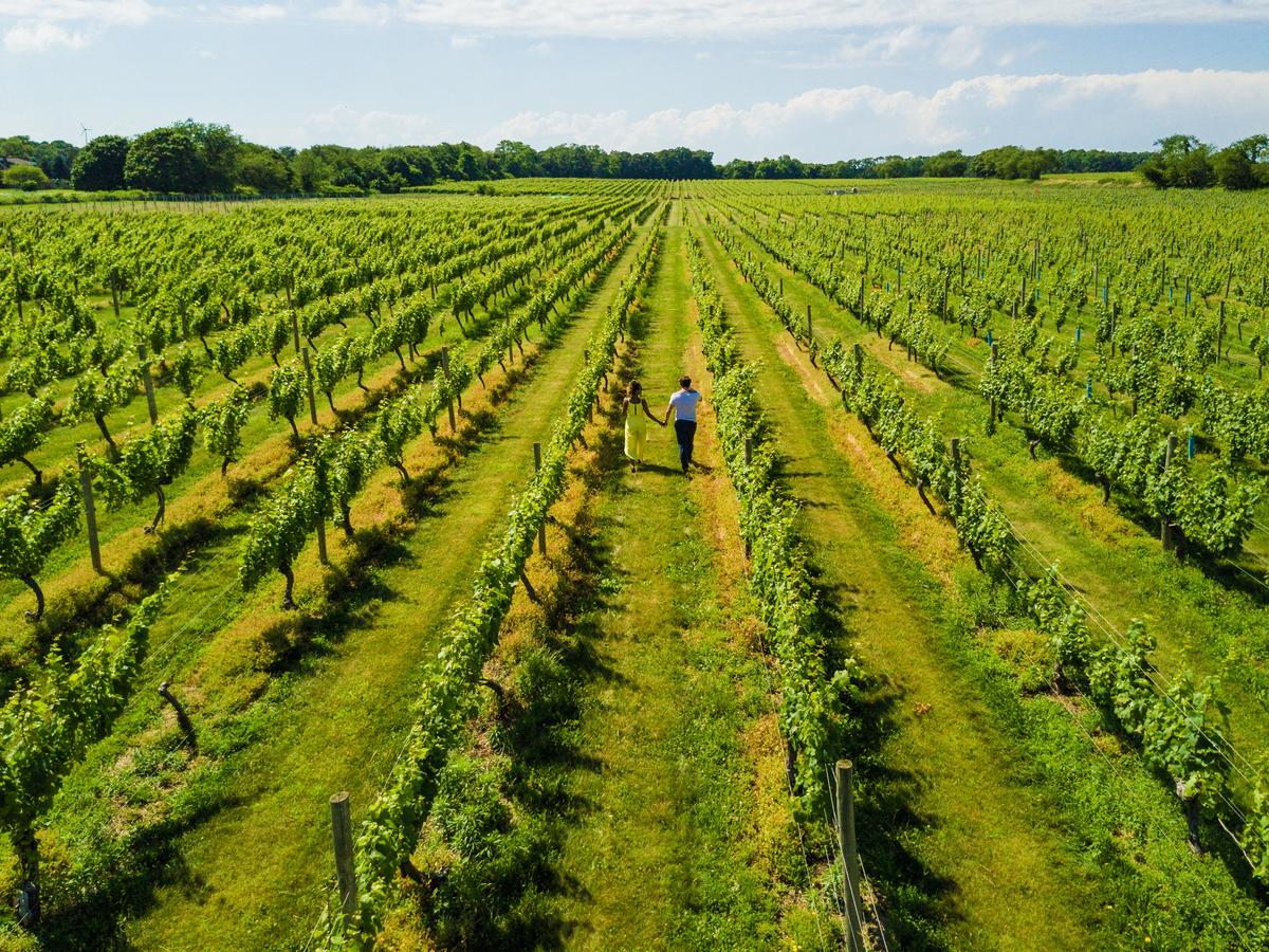 Bedell Cellars in Cutchogue. (Courtesy of Discover Long Island)