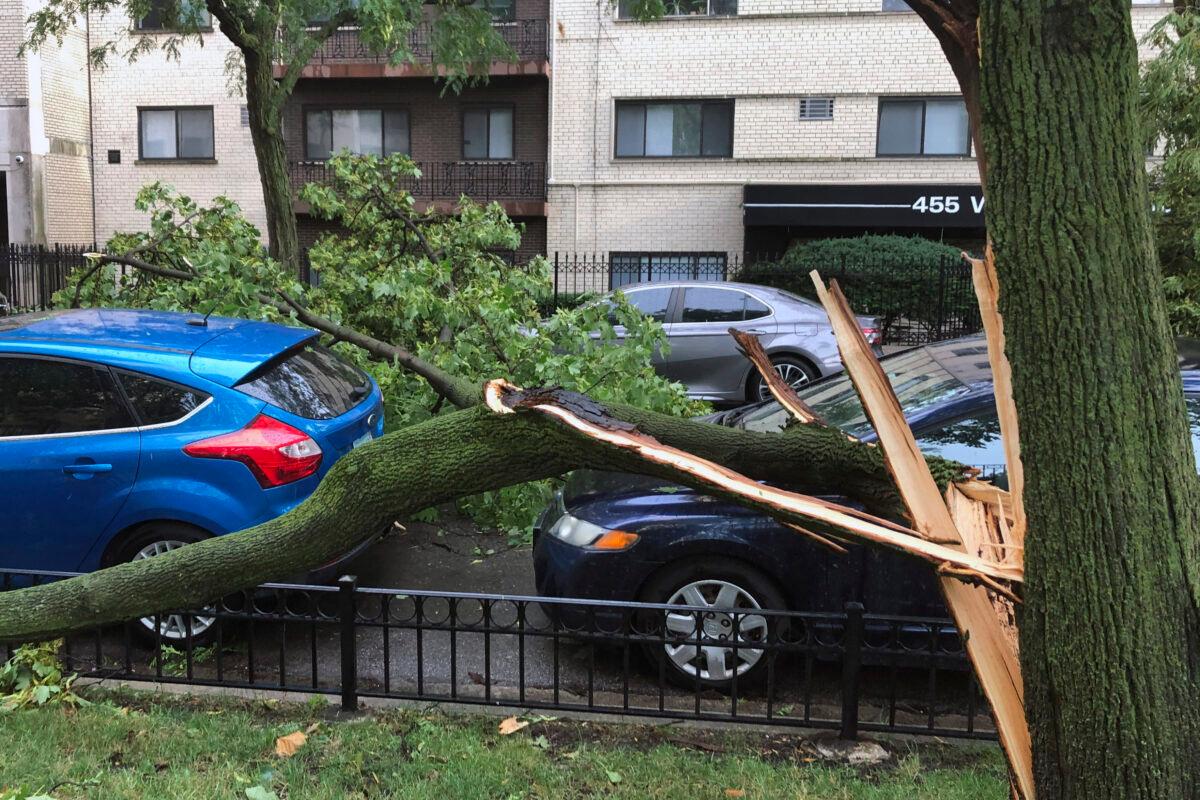 A downed tree limb blocks a roadway in Chicago's Lakeview neighborhood on Aug. 10, 2020. (Tom Berman/AP Photo)