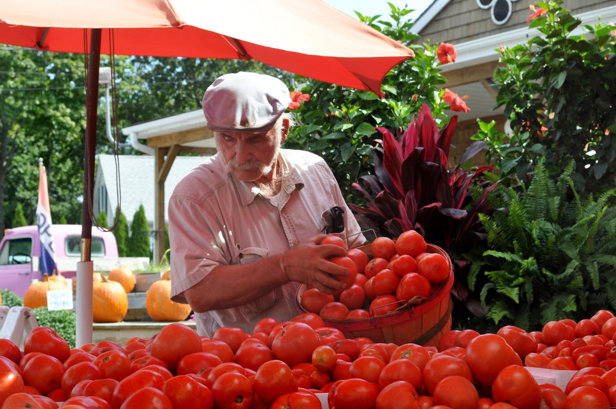 Picking out tomatoes at Bayview Market and Farms. (Courtesy of Discover Long Island)