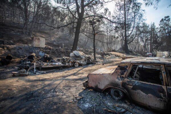 Cars charred by the Lake Fire are seen at Pine Canyon Road in the Angeles National Forest, by Lake Hughes, 60 miles north of Los Angeles, California on Aug. 13, 2020. (Apu Gomes/AFP via Getty Images)