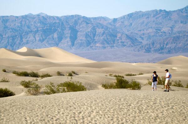 The Mesquite Dunes in Death Valley National Park, Calif., on June 29, 2013. (Reuters)