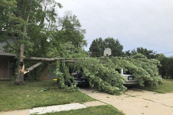 A tree fell across vehicles at a home in West Des Moines, Iowa, after a severe thunderstorm moved across Iowa on Aug. 10, 2020, downing trees, power lines and damaging buildings. (AP Photo/David Pitt)