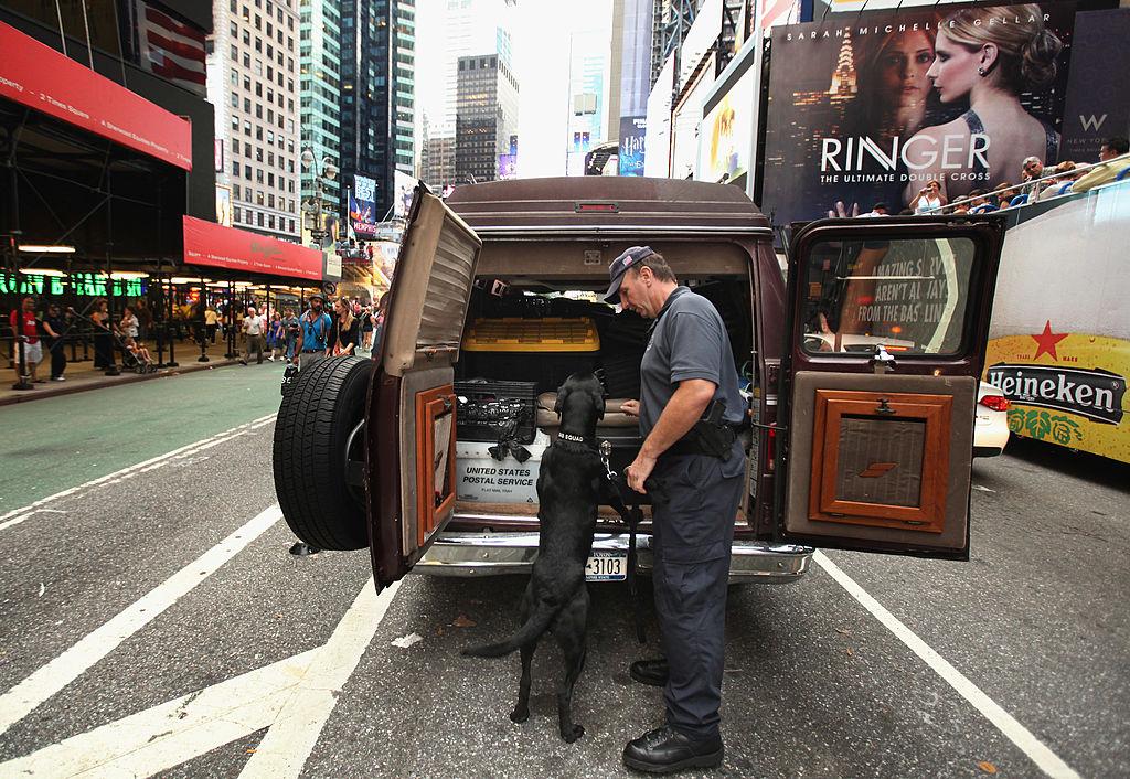 An NYPD Bomb Squad detective and K-9 Kobe inspect the inside of a vehicle parked suspiciously near Times Square, New York City, on Sept. 10, 2011. (Chip Somodevilla/Getty Images)
