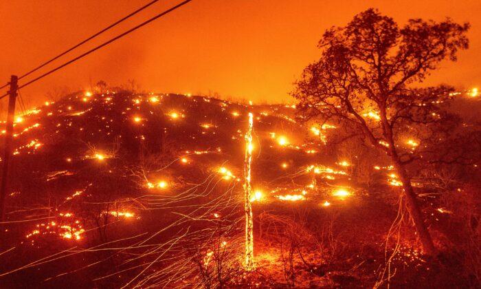 California Governor Declares State of Emergency Due to Wildfires, Blackouts