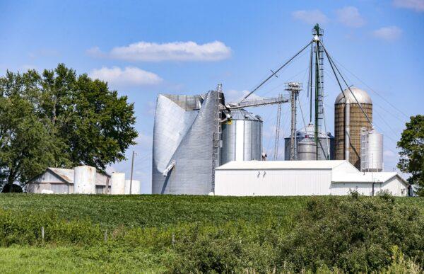 A damaged silo stands near Solon, Iowa, on Aug. 12, 2020. (Andy Abeyta/The Gazette via AP)