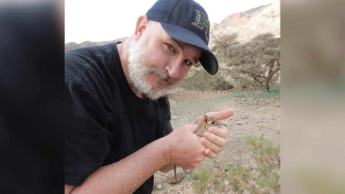 Researcher Steven Heritage with a Somali sengi in his palm (Courtesy of Steven Heritage)