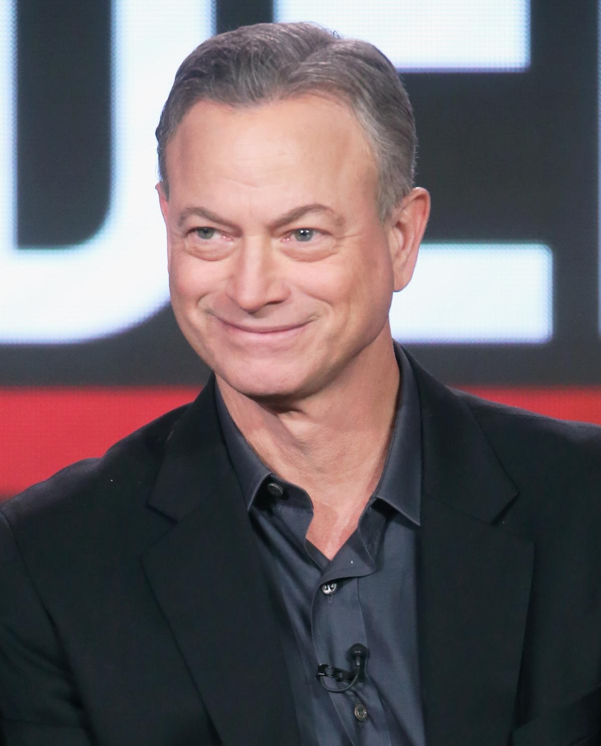 Sinise speaks onstage during the "Criminal Minds: Beyond Borders" panel discussion at the 2015 Winter TCA Tour in Pasadena, Calif., on Jan. 12, 2016. (Frederick M. Brown/Getty Images)