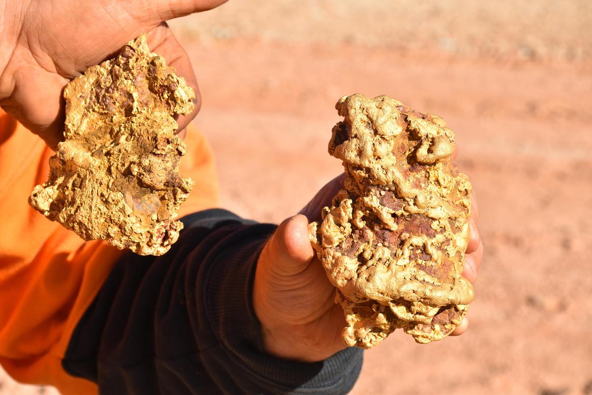 The nuggets have been valued at approximately US$250,000. (Courtesy of Aussie Gold Hunters/Electric Pictures/Discovery Channel)