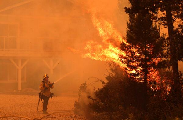 Firefighter David Widaman directs water onto a tree that had exploded in flame as a fire crew defends a house northwest of Santa Cruz, Calif., on Aug. 19, 2020. (Shmuel Thaler/The Santa Cruz Sentinel via AP)