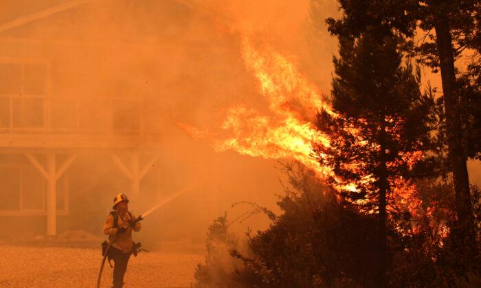 Trump Roasts Californian Government on Wildfires: ‘Clean Your Floors’