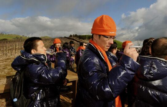 600 Chinese staff from Pernod Ricard visiting Jacob's Creek's Steingarten Vineyard in South Australia's Barossa Valley on July 20, 2010. (Greg Wood/AFP via Getty Images)