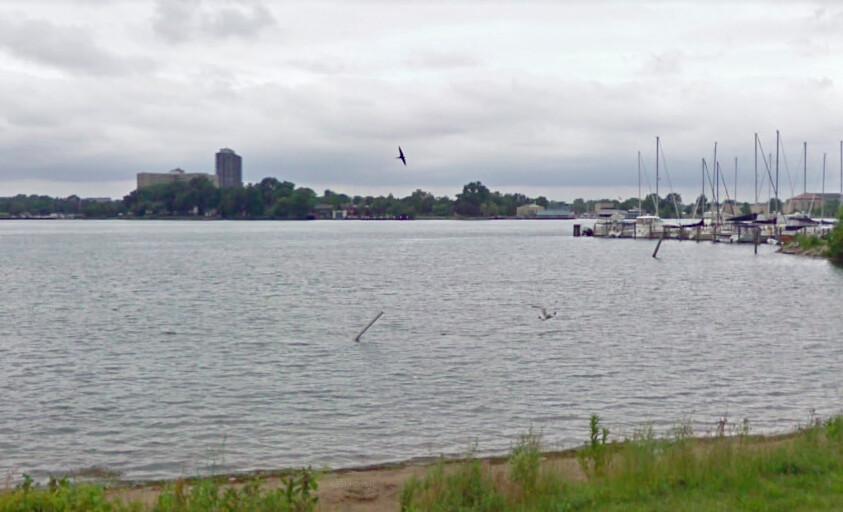 The water near the Detroit Yacht Club at Riverbank Drive in Detroit, Michigan (Screenshot/<a href="https://www.google.com/maps/@42.3468033,-82.9763589,3a,32.8y,329.21h,88.95t/data=!3m6!1e1!3m4!1smG6gVMIrwVhM3iPP5BiCgA!2e0!7i13312!8i6656">Google Maps</a>)