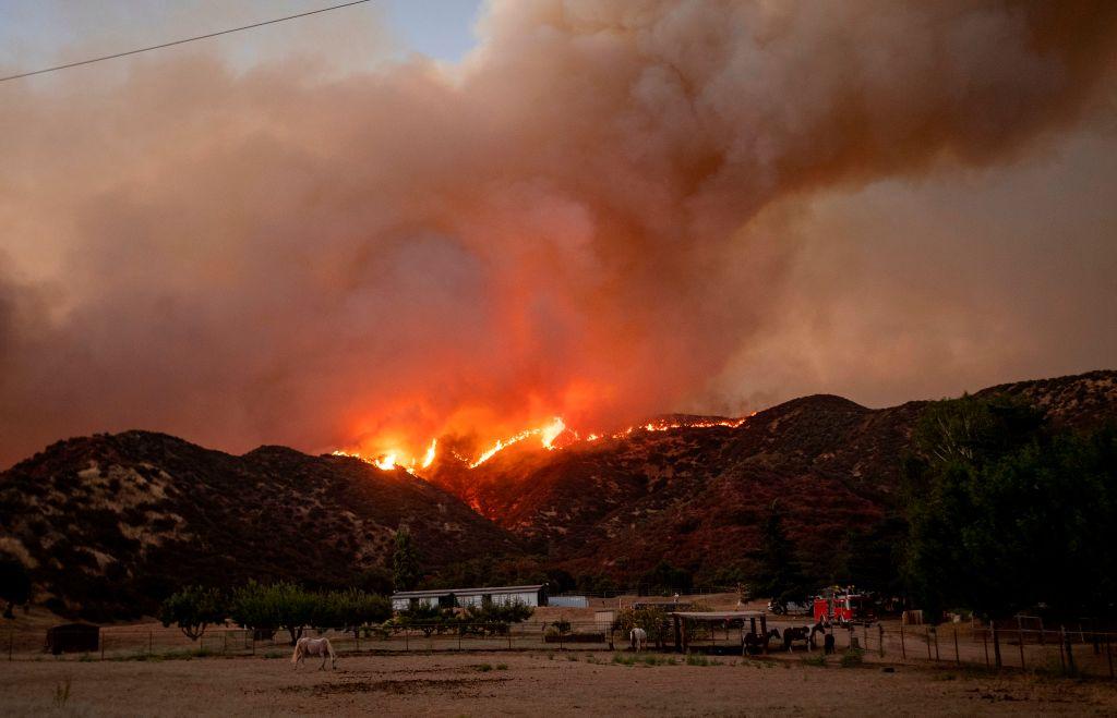 Horses graze as flames from the Apple fire skirt a ridge in a residential area of Banning, Calif., on Aug. 1, 2020. (JOSH EDELSON/AFP via Getty Images)