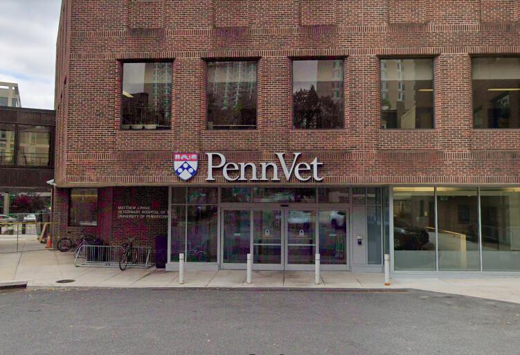 The Penn Vet veterinary clinic and treatment facility in Philadelphia, Pa. (Screenshot/<a href="https://www.google.com/maps/@39.9508334,-75.2009336,3a,52.5y,186.21h,94.05t/data=!3m6!1e1!3m4!1sAM6E7-iYfC73u3h_eFqwfQ!2e0!7i16384!8i8192">Google Maps</a>)