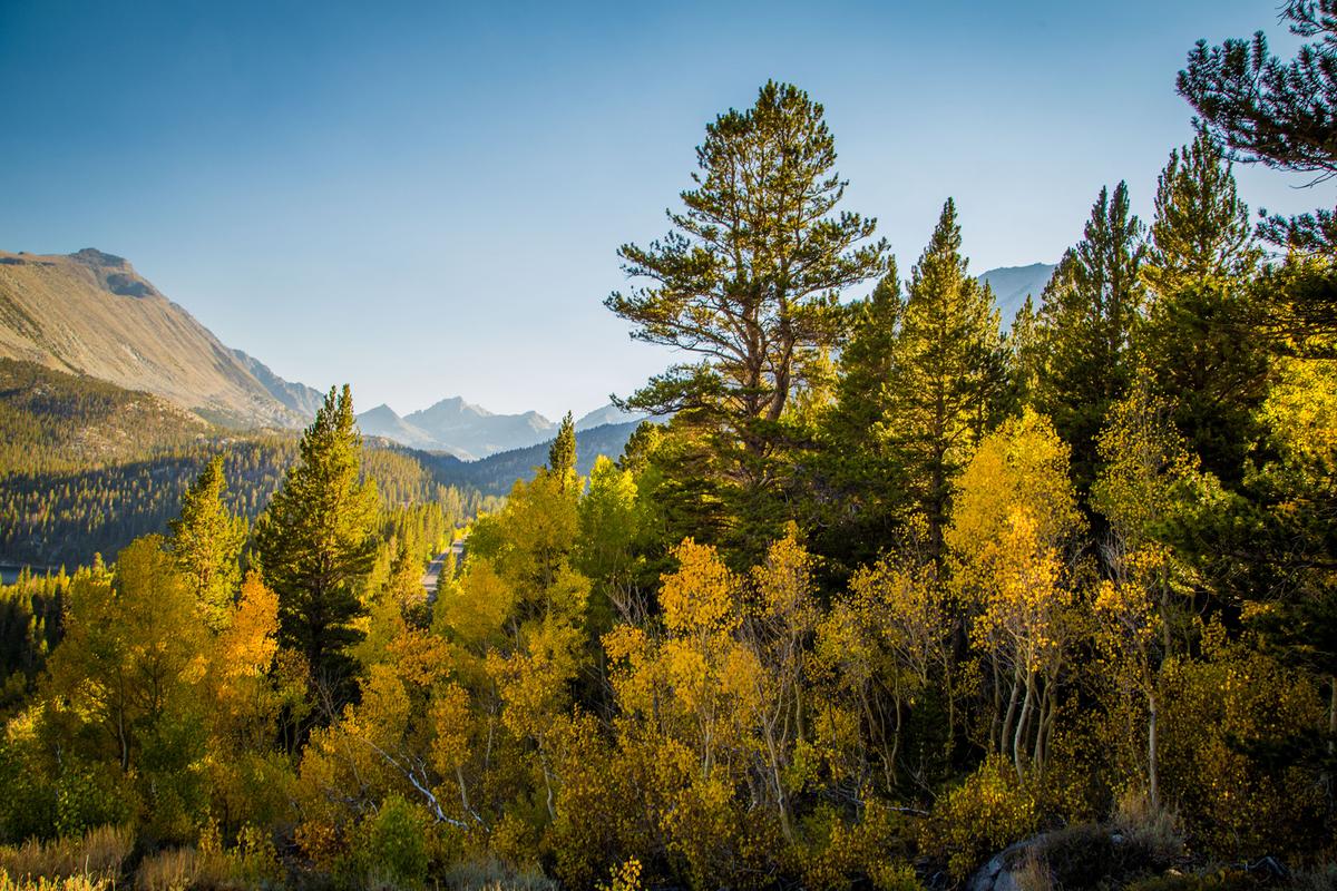 Fall colors. (Josh Wray/Courtesy of Mammoth Lakes Tourism)