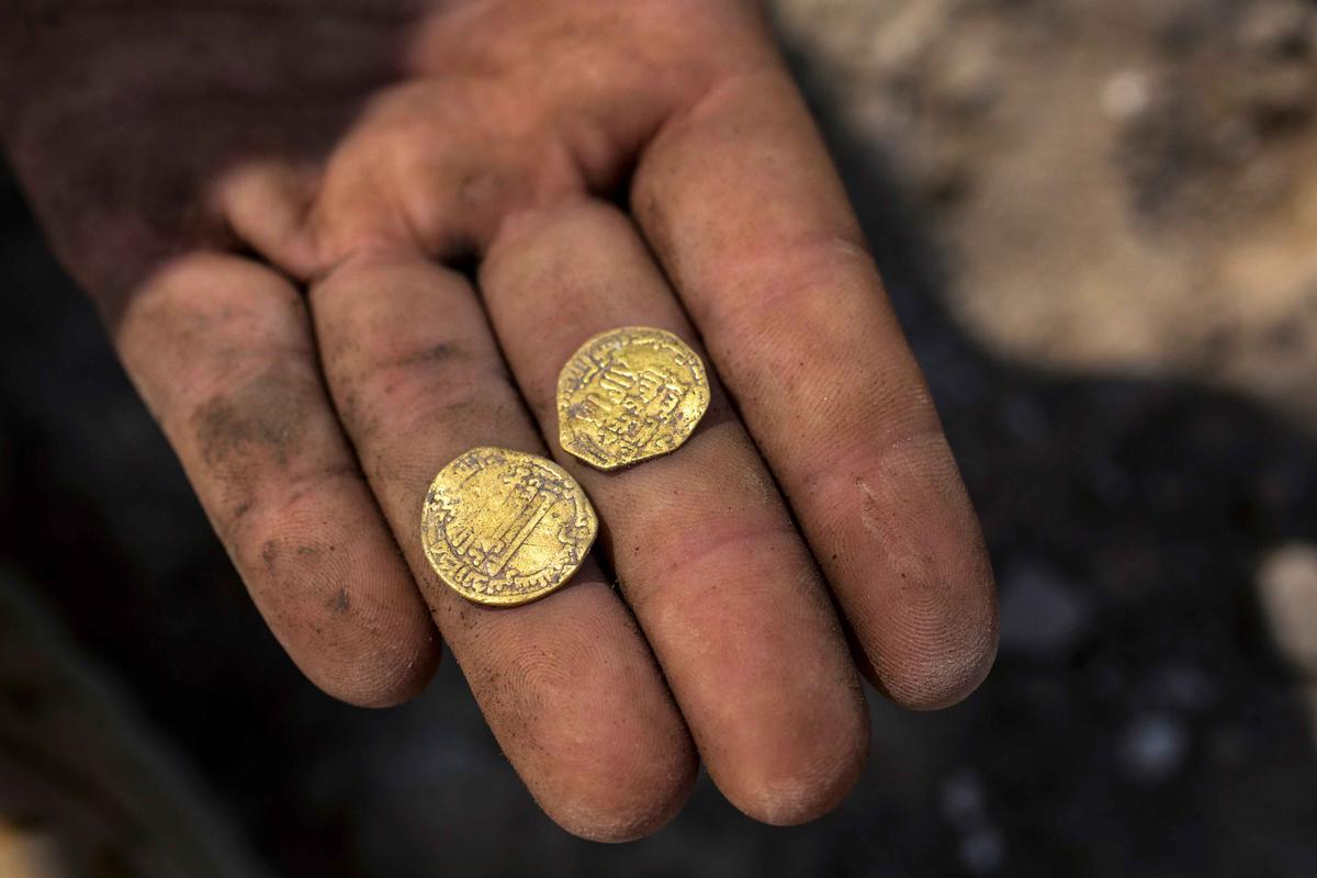 Israeli archeologist Shahar Krispin shows gold coins, said by the Israel Antiquities Authority to date to the Abbasid dynasty, after their discovery at an archeological site in Central Israel Aug. 18, 2020. (Heidi Levine/Pool via REUTERS)