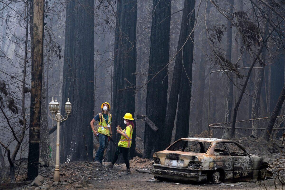 Workers with Davey Resource Group asess the damage to the trees in a neighborhood in Boulder Creek, Calif., on Aug. 25, 2020. (Marcio Jose Sanchez via AP Photo)
