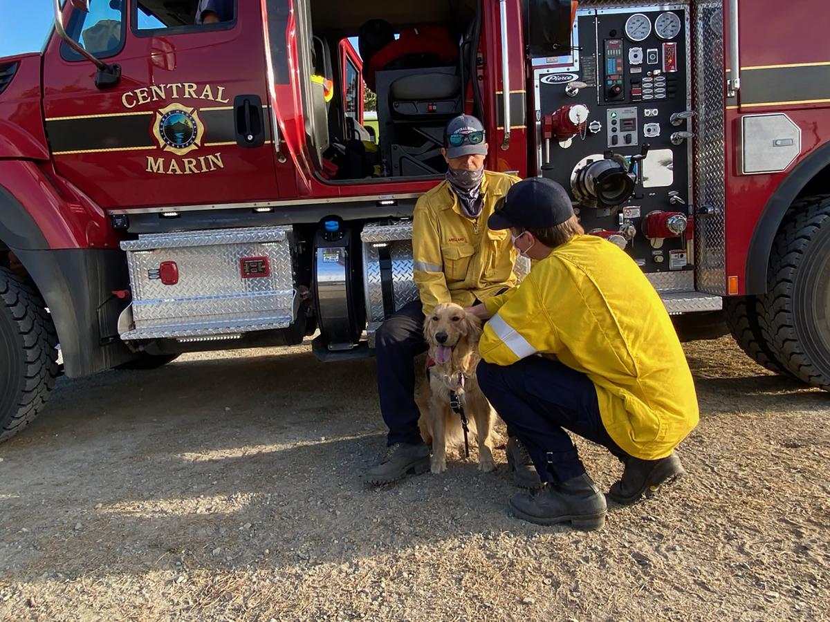 Kerith offers comfort to Marin County firefighters amid the ongoing wildfires. (Courtesy of Heidi Carmen)