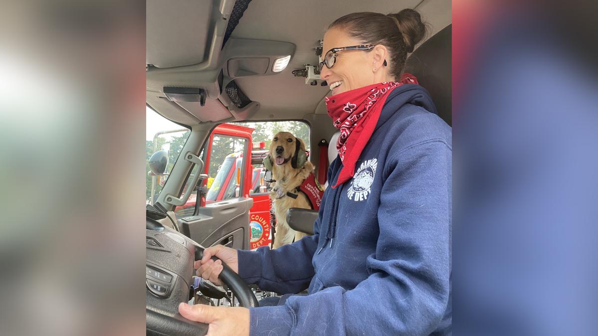 When Kerith isn't riding shotgun in the firetruck, she is acting as a therapy dog to firefighters in Marin County. (Courtesy of Heidi Carmen)