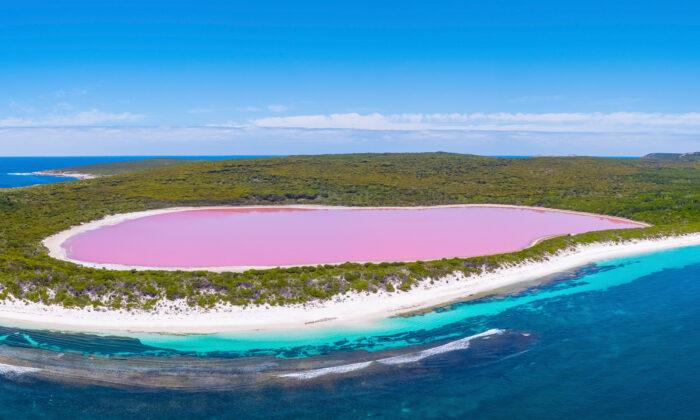 Photographer Captures Stunning Images of Dreamy Pink Hue Over an Australian Lake