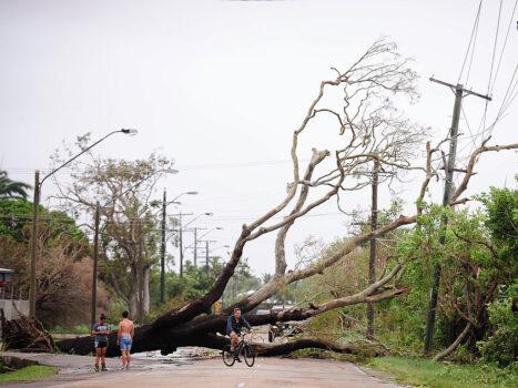A fallen tree is seen lying across a street after the passing of Cyclone Yasi on February 3, 2011, in Townsville, Australia. (Ian Hitchcock/Getty Images)