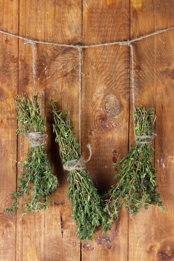 Hang up bunches of fresh herbs to dry. (Africa Studio/Shutterstock)