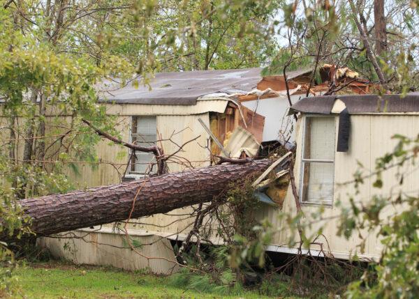 Hurricane Laura destroys large areas of Southwest Louisiana after passing through in the early hours of Thursday sending a pine tree through a mobile home in Southwestern, Louisiana on Aug. 28, 2020. (Lake Charles American Press, Kirk Meche/AP Photo)