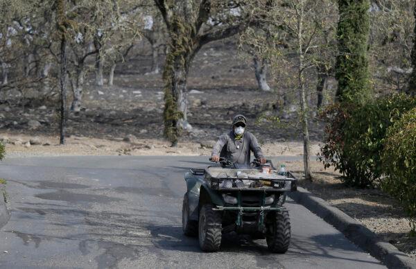A vineyard worker rides an ATV to make a repair on a wildfire-burned irrigation pipe at Signorello Estate winery in Napa, Calif., on Oct. 16, 2017. (Eric Risberg/AP Photo)