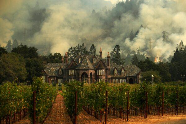 The Tubbs wildfire burns behind a winery in Santa Rosa, Calif., on Oct. 14, 2017. (Jae C. Hong/AP Photo)