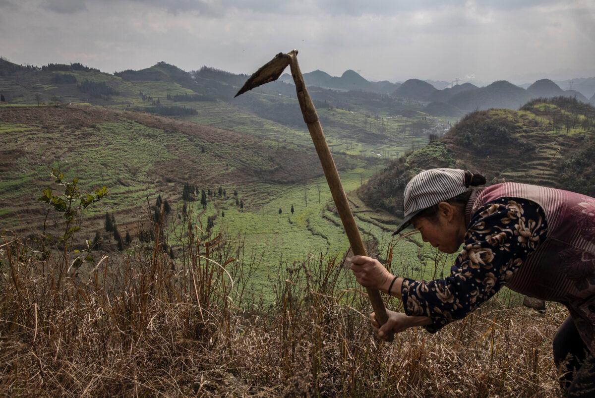 A Yi villager works a field overlooking the Long Horn Miao area of Longga, Guizhou Province, southern China, on Feb. 7, 2017. (Kevin Frayer/Getty Images)