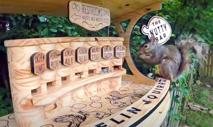 Man Builds a Backyard Squirrel Bar With Seven Varieties of Nuts on Tap