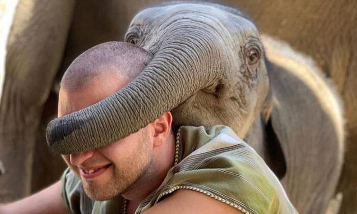 Adorable Pictures Show Playful Elephants Playing a Game of ‘Guess Who’ With Tourists