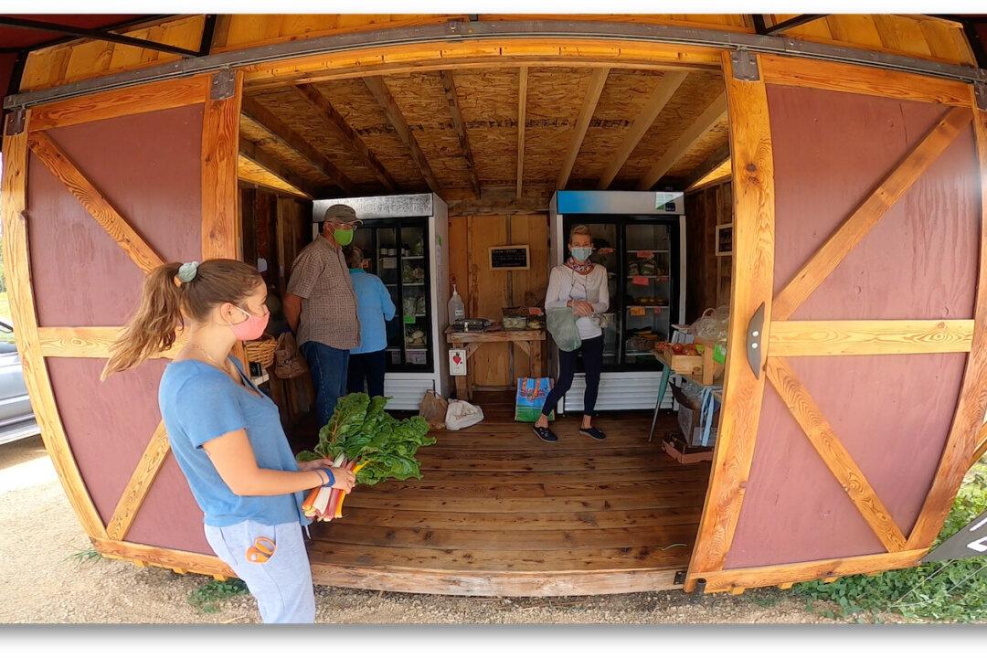Farm Stands Are Making a Comeback—and They (Sometimes) Have Cookies