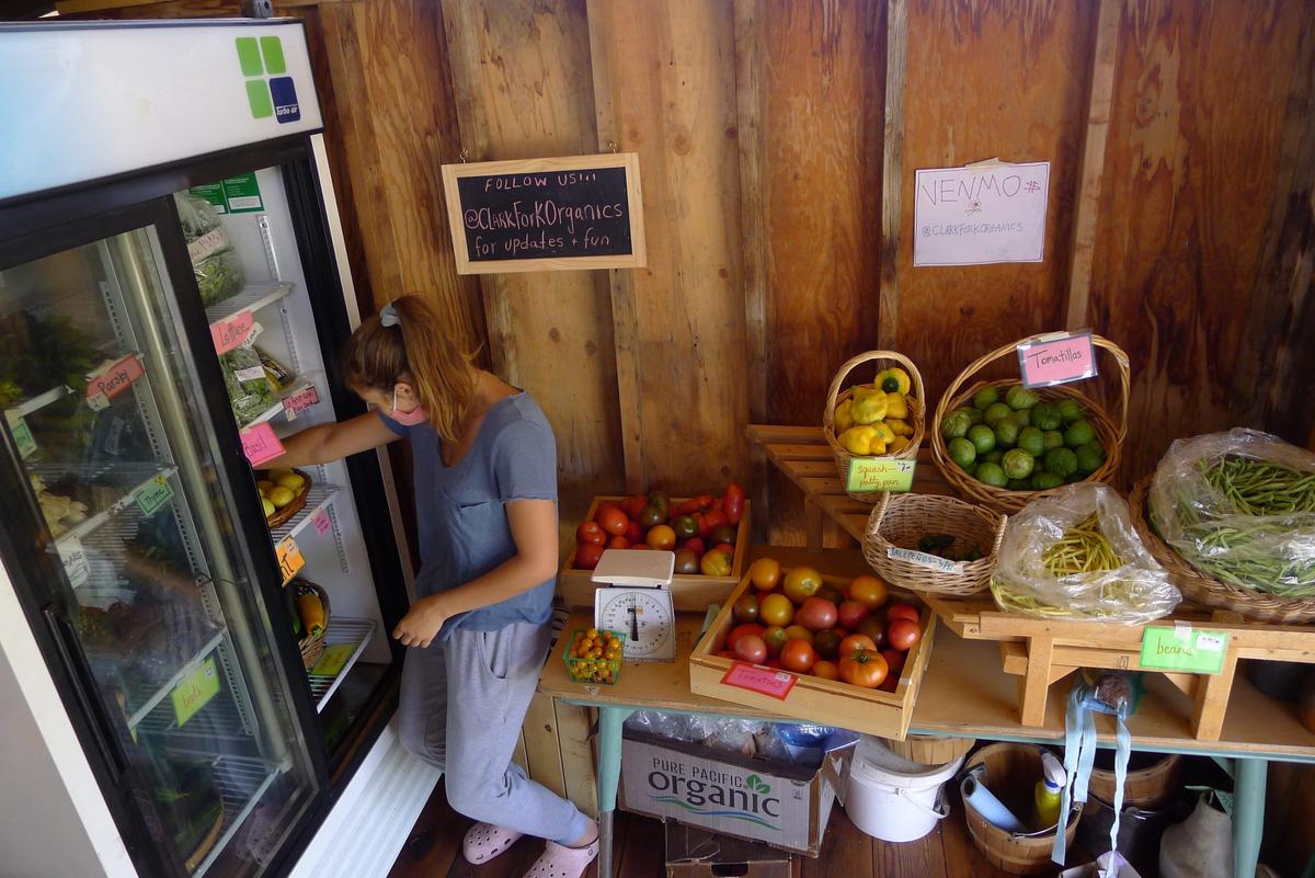 Tasha Slotnick organizes the produce cooler at Clark Fork Organics in Missoula, Mont. (Ari LeVaux)