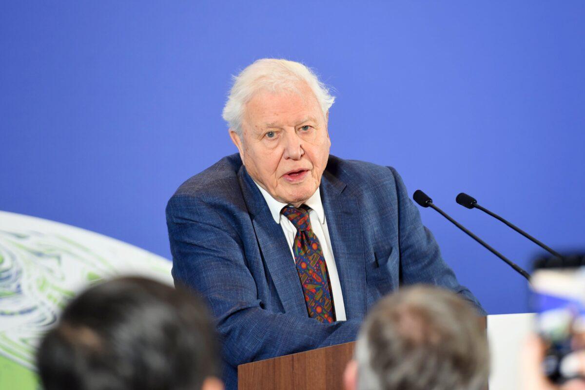 Sir David Attenborough speaks at the launch of the UK-hosted COP26 United Nations Climate Summit at the Science Museum in London, on Feb. 4, 2020. (Jeremy Selwyn/WPA Pool/Getty Images)