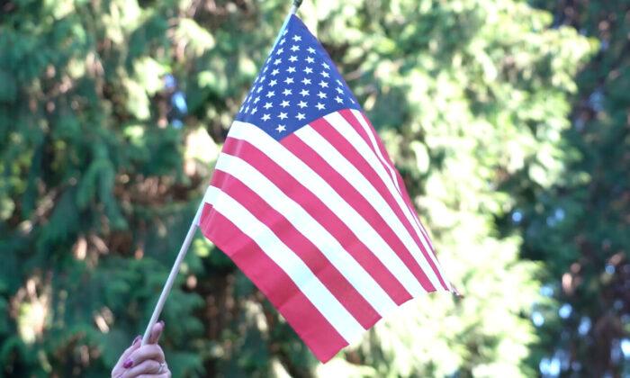Boy Rips American Flag From Neighbor’s Lawn While Mother Watches 