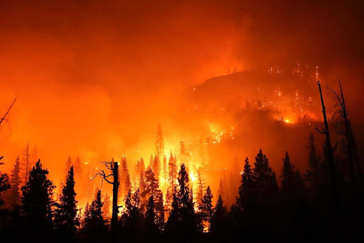 Record 2 Million Acres Burned in California
