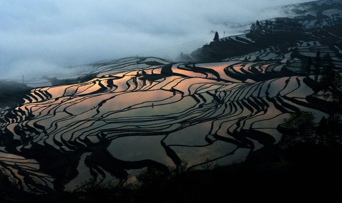 The terraced rice fields in Hani, southwestern China's Yunnan Province on March 11, 2012. (STR/AFP via Getty Images)
