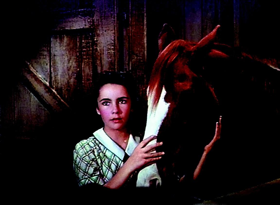 Elizabeth Taylor as 12-year-old Velvet Brown, with her horse, in "National Velvet." (Metro-Goldwyn-Mayer)