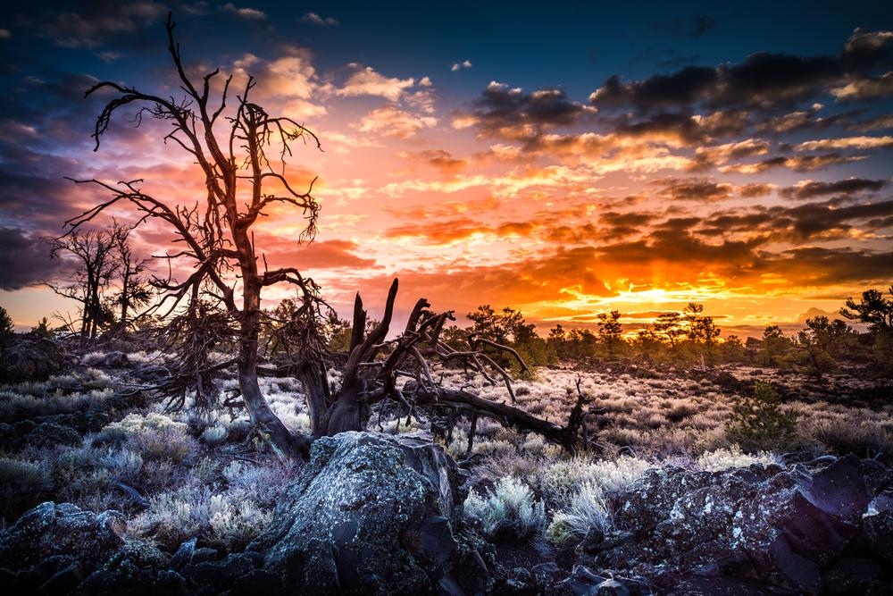 Craters of the Moon National Monument, Idaho. (Kris Wiktor/Shutterstock)