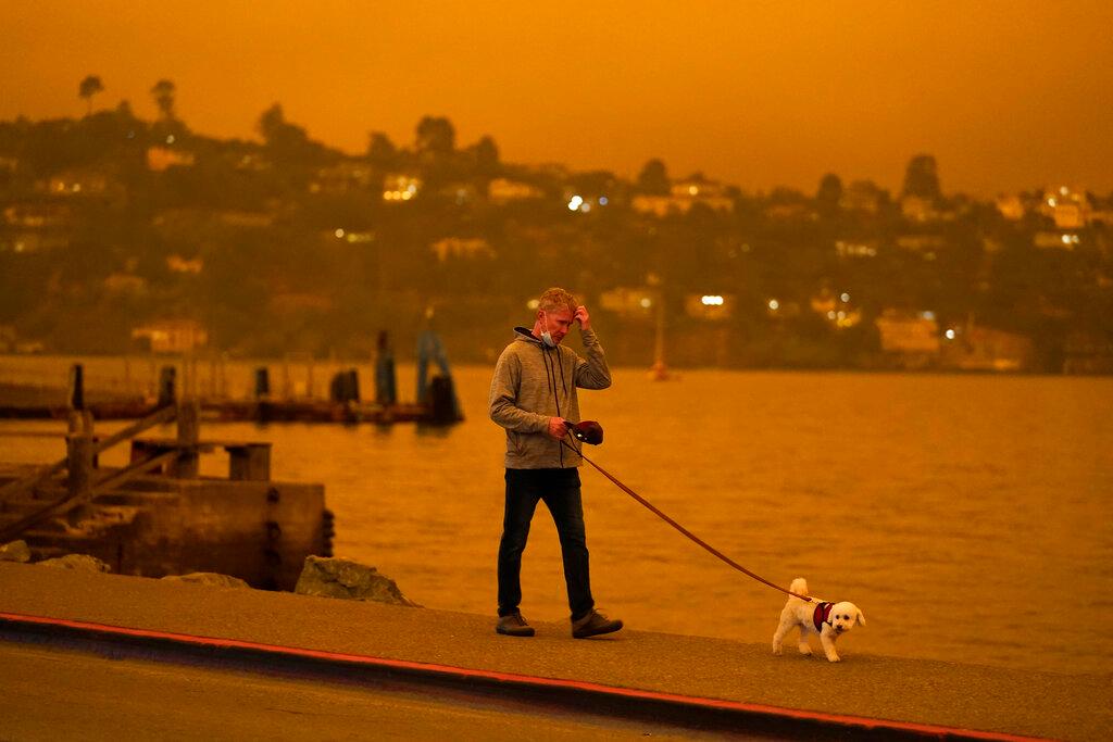 A man walks his dog along Bridgeway Avenue as smoke from wildfires darken the morning in Sausalito, Calif. (Eric Risberg/AP)