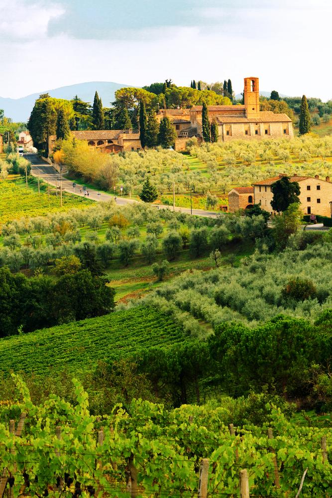 Vineyards in Tuscany, Italy. (Susan Schmitz/Shutterstock)