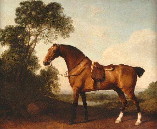 "A Saddled Bay Hunter," 1786, by George Stubbs. Oil paint on panel; 21 3/4 inches by 27 3/4 inches. Gift of the Berger Collection Educational Trust, 2019. (Denver Art Museum)