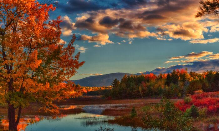 America’s Finest Leaf-Peeping: 5 Best Places to Enjoy Fall Splendor