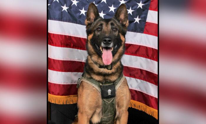 ‘He Sacrificed Himself’: Police Hold Funeral for Fallen SWAT K9 Killed in the Line of Duty
